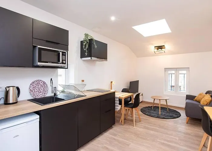 Apartment Le Patio - T2 Centre Historique *